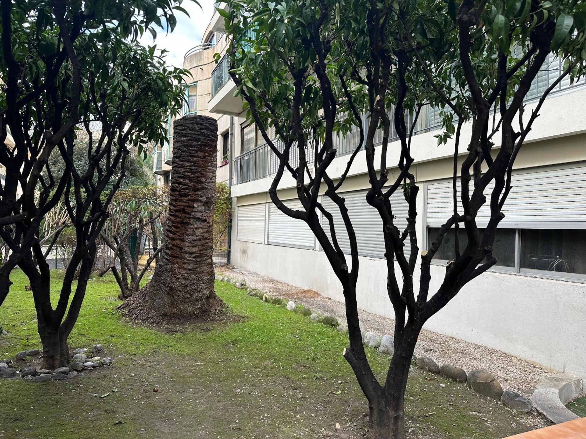 Ferienwohnung Les Clementines Nizza Exterior foto
