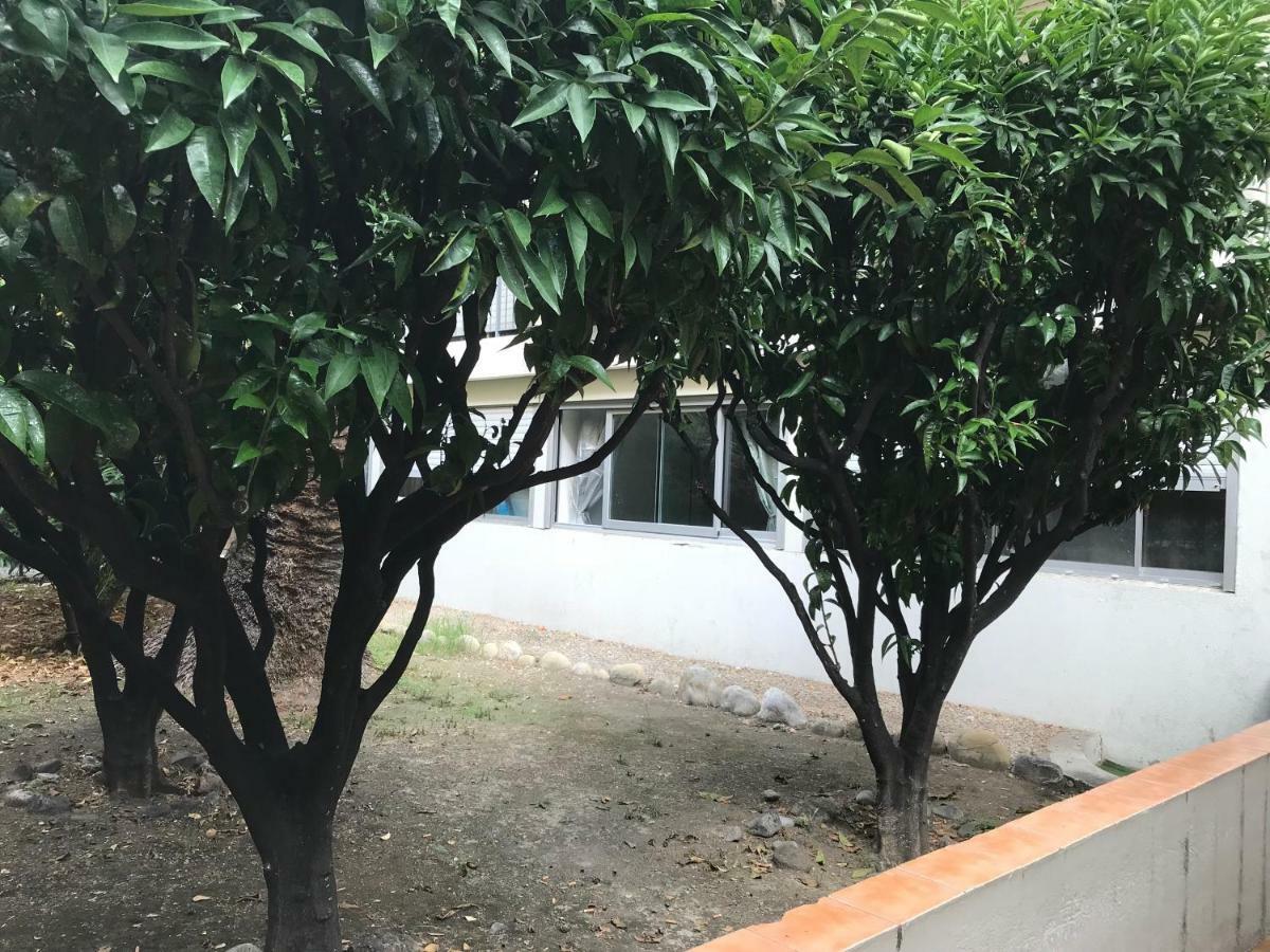 Ferienwohnung Les Clementines Nizza Exterior foto